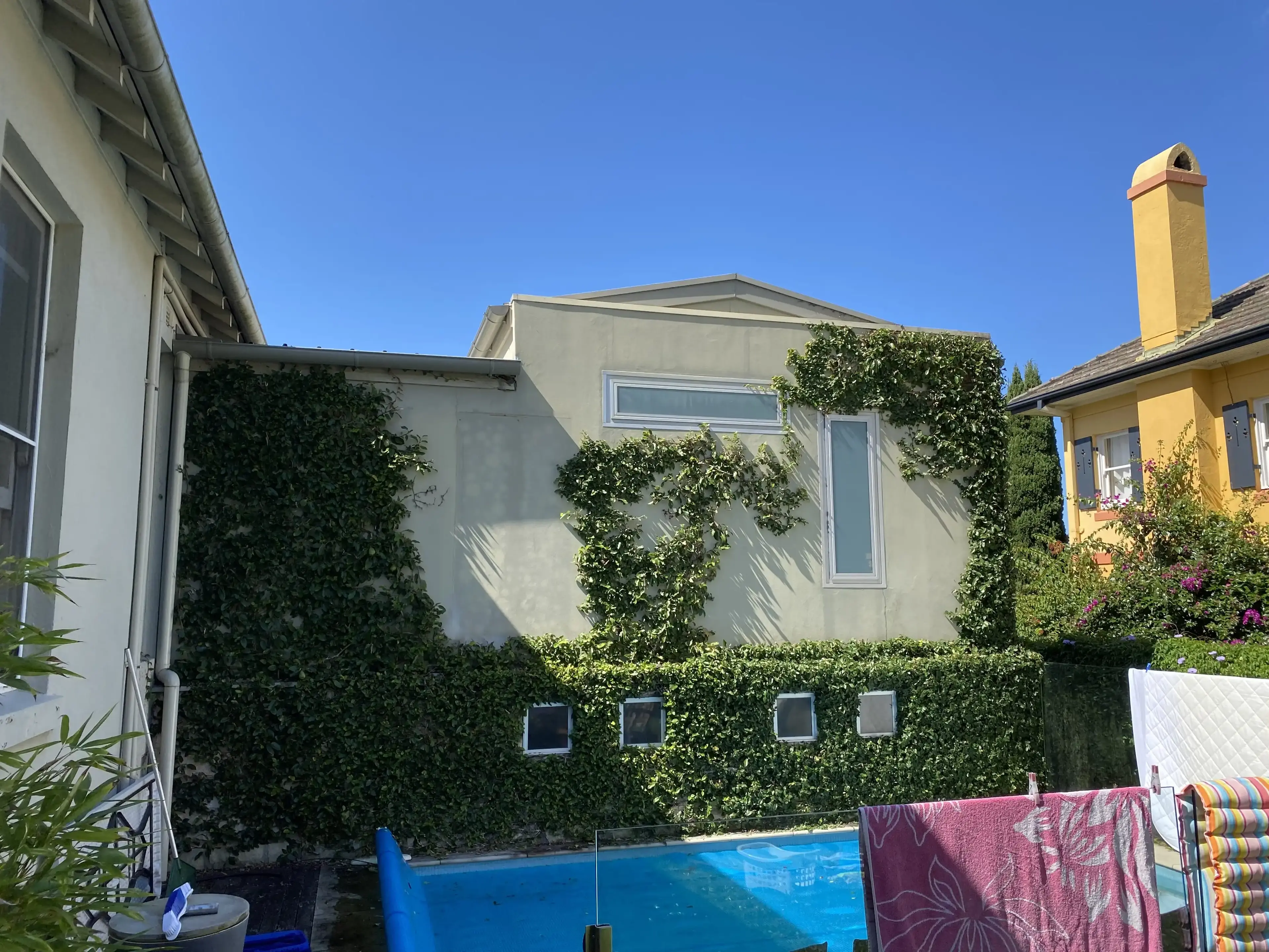 Climbing hedge trimmed against a wall
